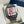 [IN STOCK] Seiko Mod Santos - All You Need is Now