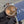 Seiko Mod Datejust - Champagne Gem (Two-Tone Rose Gold)