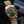 Seiko Mod Day-Date - Rose Gold/Olive