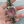 [IN STOCK] Seiko Mod Ladies Datejust - Pink Mother of Pearl and Gem (Two-Tone Rose Gold)