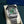 Seiko Mod Santos - Green