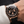Seiko Mod Daytona - Rose Gold