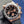 Seiko Mod Daytona - Rose Gold